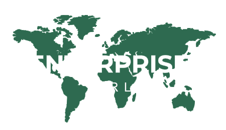 Enterprise srl